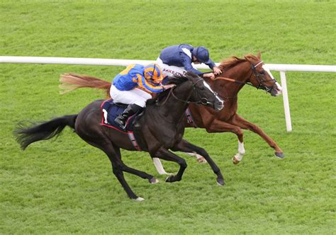 uk and irish horse racing results|Suzanne Eade FCCA, CFO, Horse Racing Ireland .